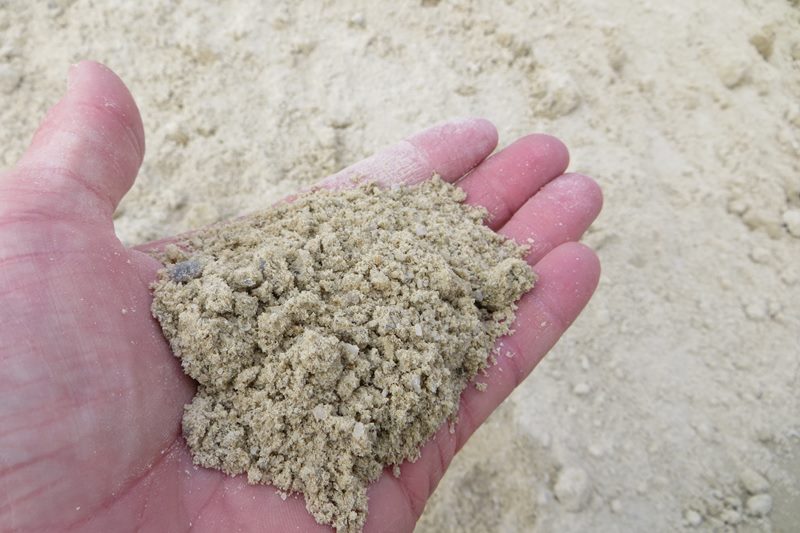 Cheap Flights Cheap Flights