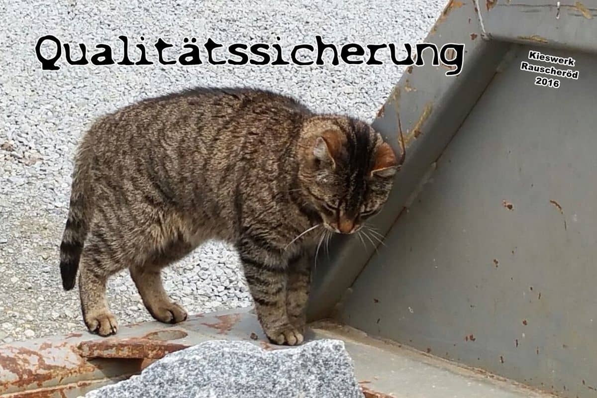 Mauer U-bach16_06