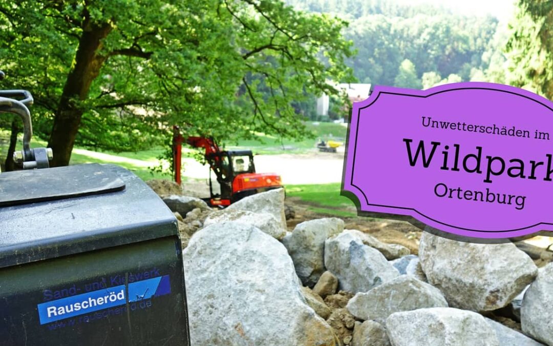 Regenrückhaltebecken im Wildpark Ortenburg instand gesetzt