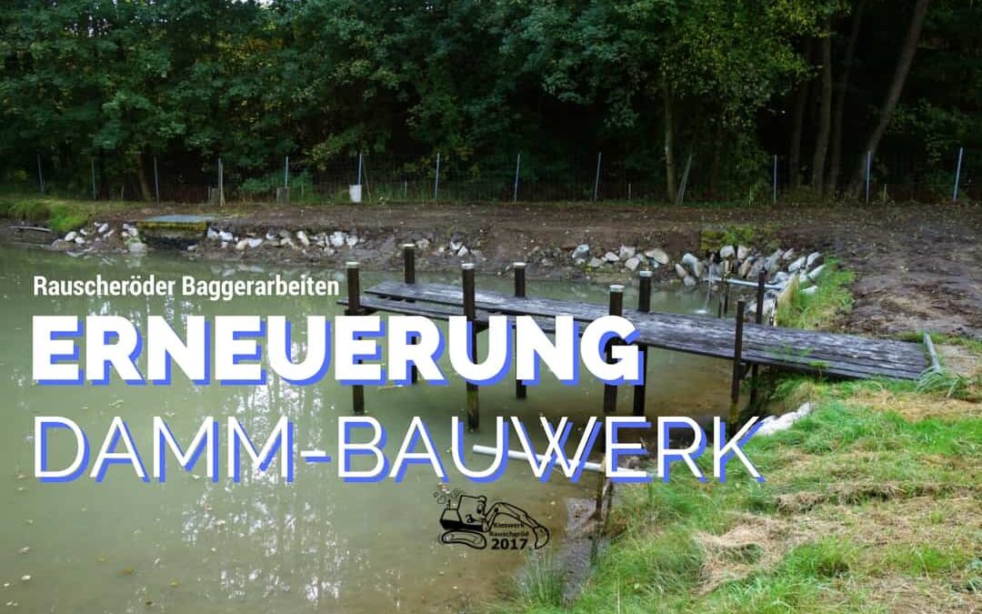 Erneuerung Damm-Bauwerk