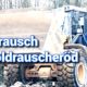 Goldrausch in Rauscheröd – Video